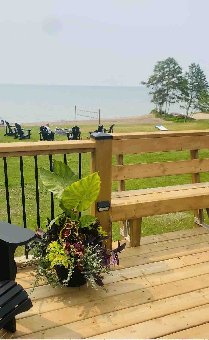 The outdoor deck features a wooden railing and a planter filled with vibrant green plants. In the background, a sandy beach can be seen with several black Adirondack chairs arranged in a circle, offering a serene view of the nearby lake.