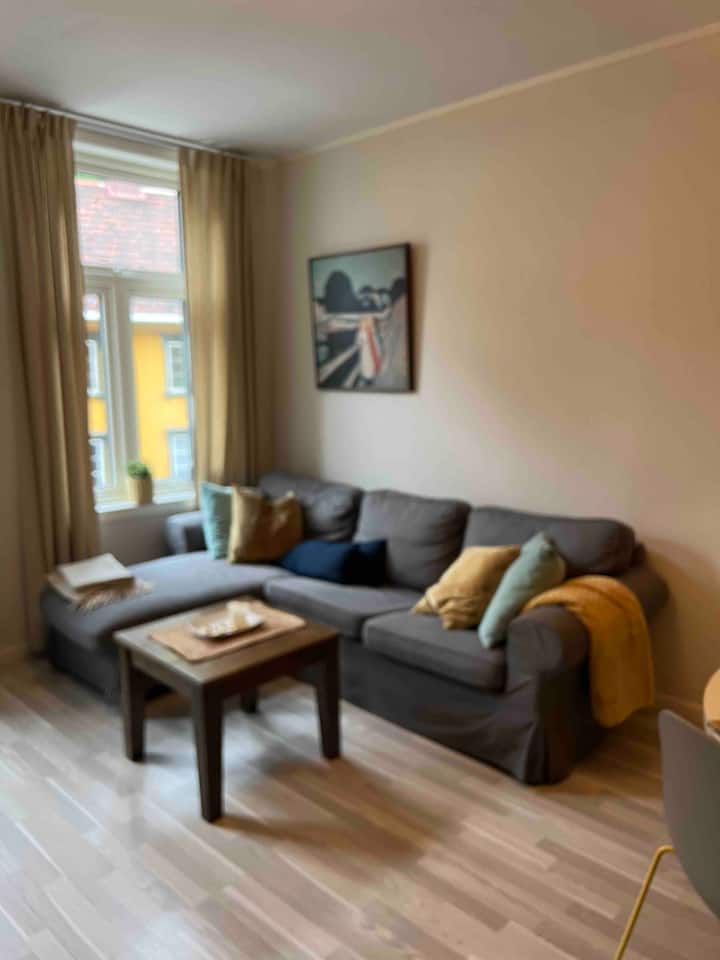 Avslappende Sentrumsliv - Oslo