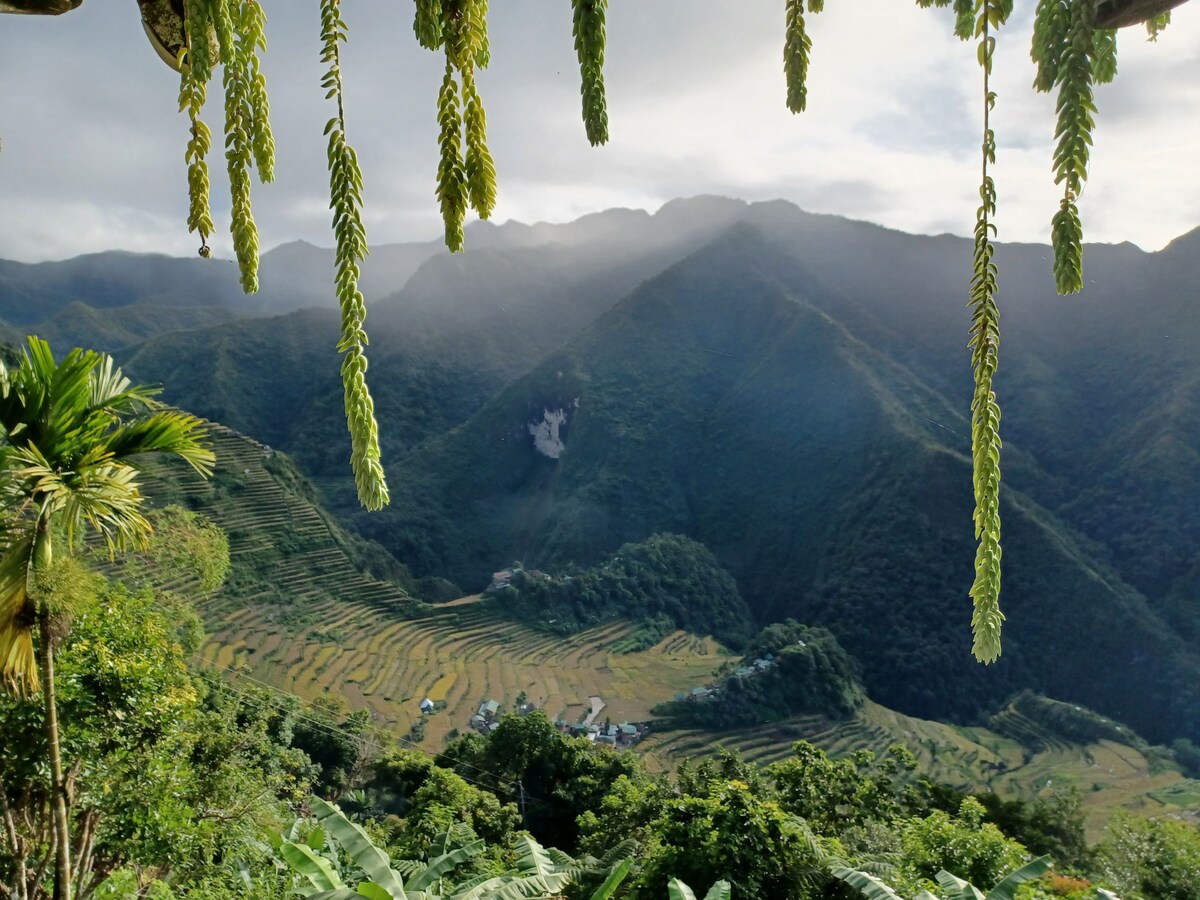 A panoramic view of lush, green mountains is framed by hanging foliage. Terraced fields can be seen nestled in the valley below, with hints of structures scattered throughout the landscape. Soft light filters through the mist, enhancing the serene setting.