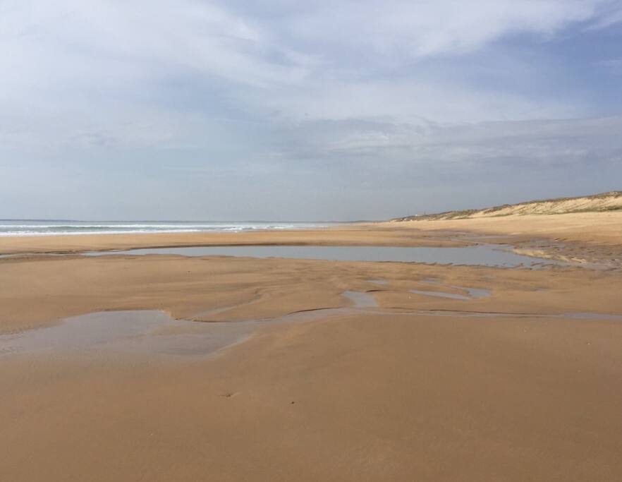 Lens not wide enough to capture all the beach!