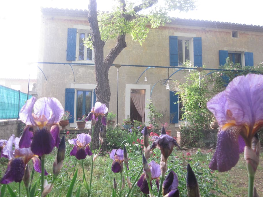 Vue du jardin