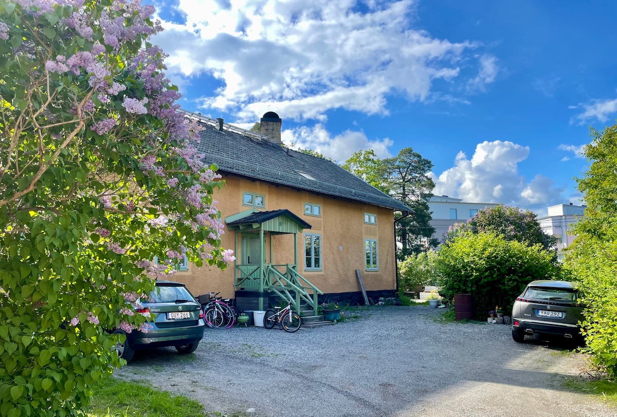 The exterior of a yellow house with a thatched roof is surrounded by lush greenery and blooming lilacs. A gravel driveway accommodates cars and bicycles, while soft clouds float in a blue sky, contributing to a serene outdoor setting.