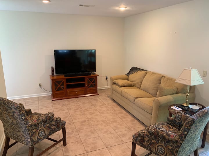 Living room sofa converts into bed