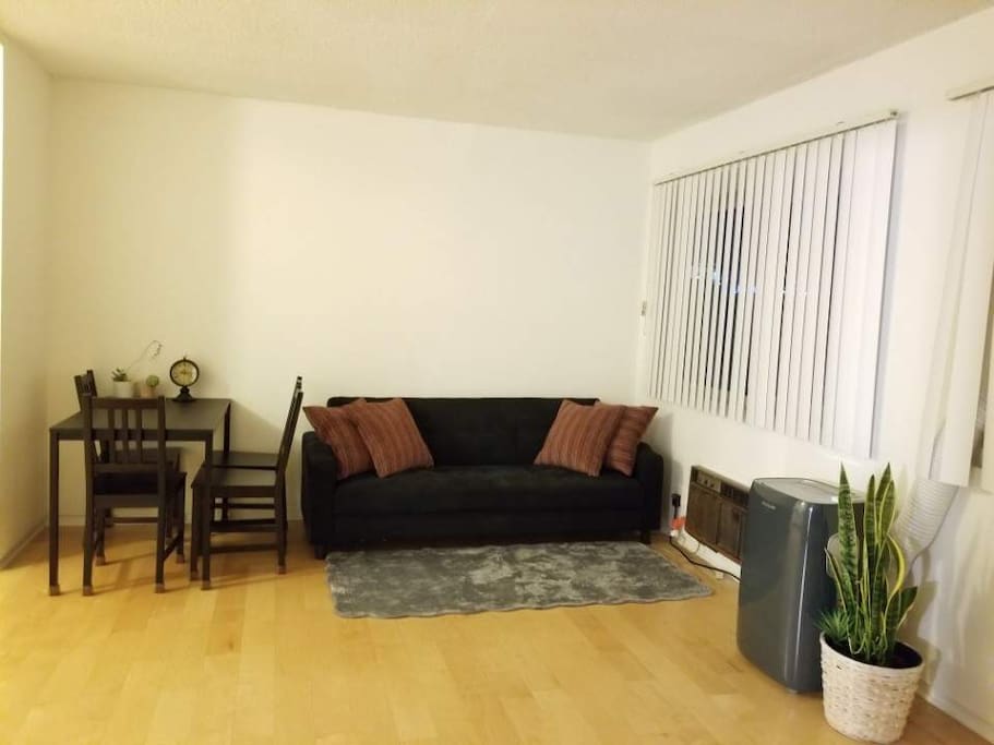 Spacious Living Room with Couch, Dining Table, and A/C & Heater.