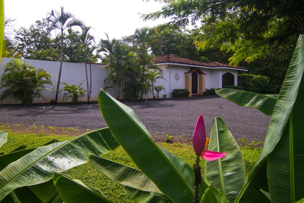 Front of the house