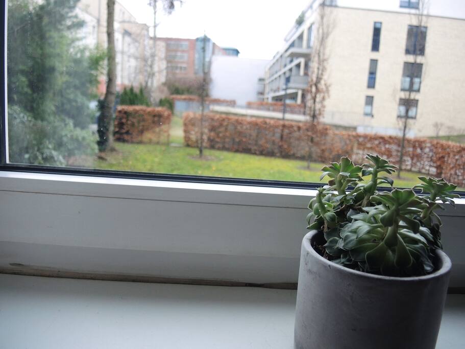 garden