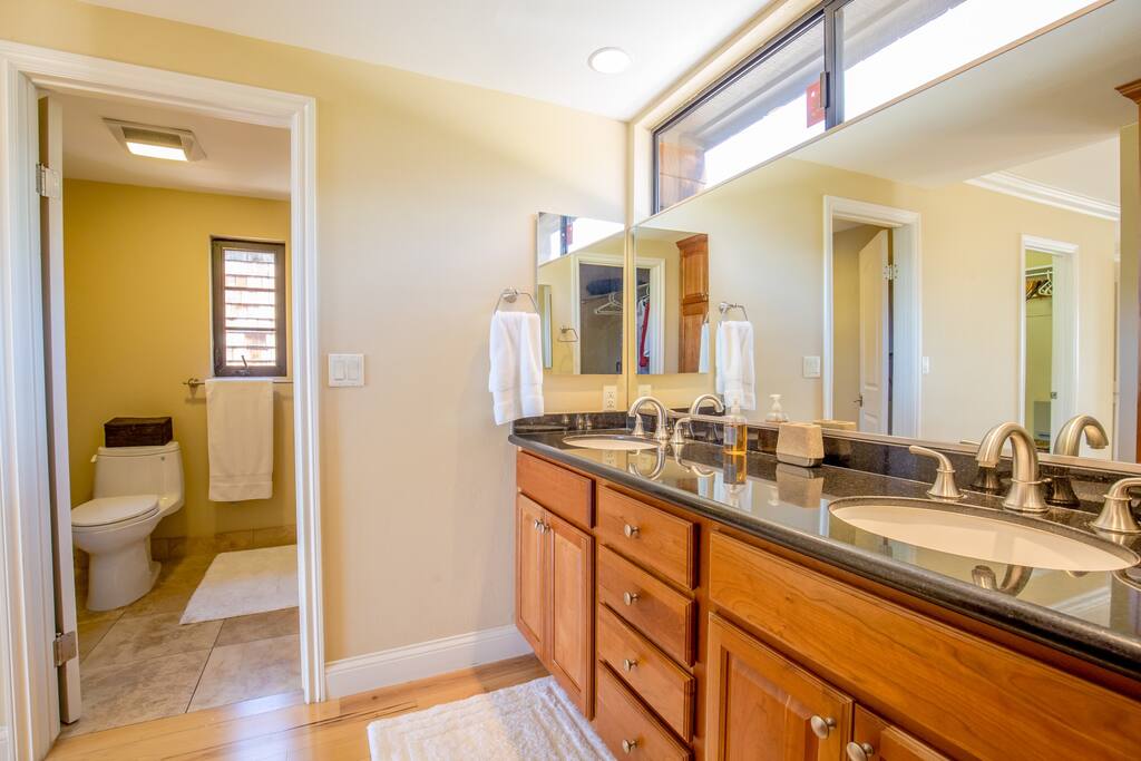 Master Bedroom's connected Bathroom with dual sinks, bathtub, 2 Walk in Closets.