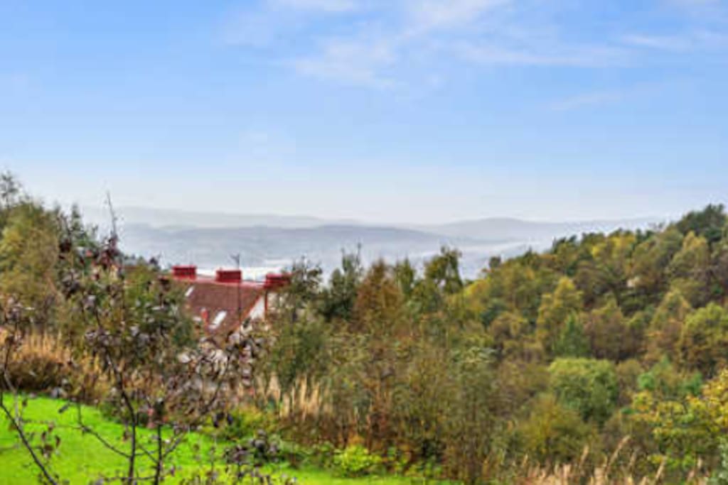 Beatutiful view over the city