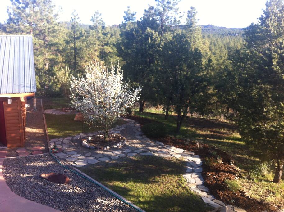 Our "plaza / garden" in spring bloom!