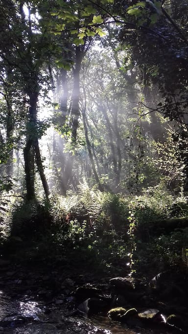 Very nearby St Nectans Glen