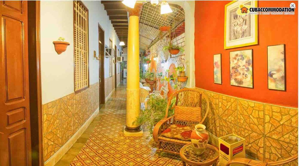 A spacious hallway is viewed, lined with decorative pots on the walls. Vibrant plants enhance the atmosphere, while traditional seating areas invite relaxation. The floor features a patterned tile design, and warm lighting highlights the inviting ambiance of the corridor.
