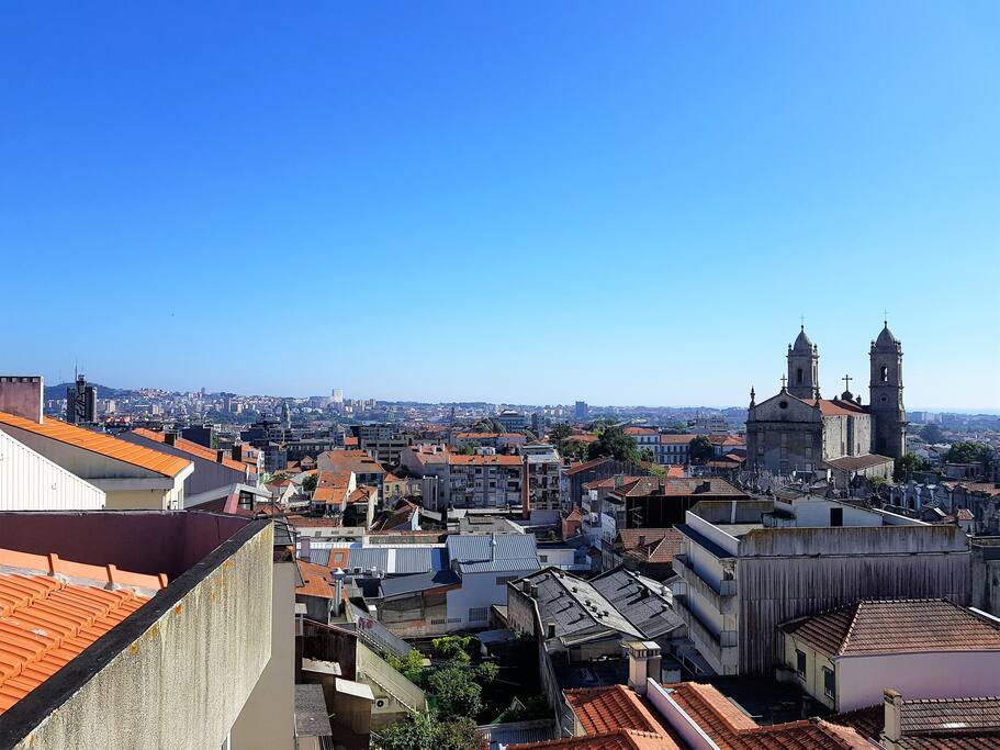 View from the house