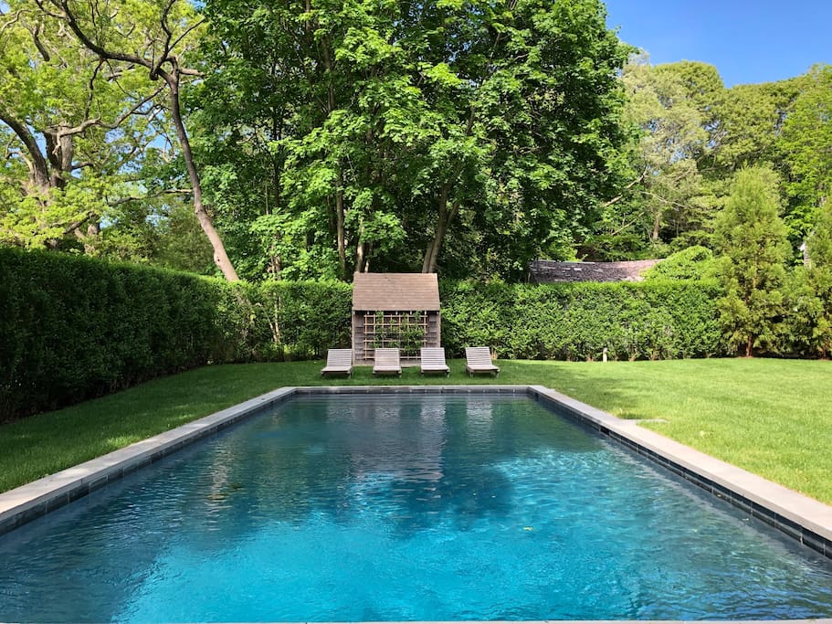 Saltwater Gunite Pool