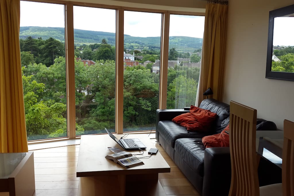 The Dublin mountains and plenty of native trees can be seen from the sofa!