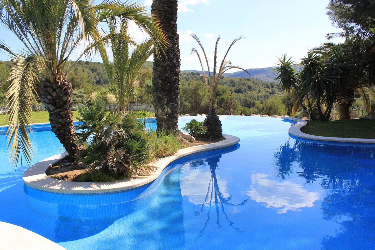 A large swimming pool is surrounded by palm trees and lush greenery. The water reflects the clear sky, creating a serene atmosphere. Various plant species are visible along the water’s edge, enhancing the tranquil outdoor space dedicated to relaxation.