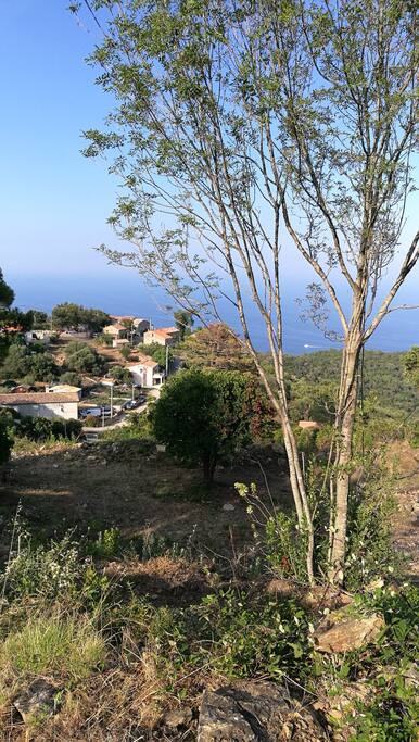 la vue du village