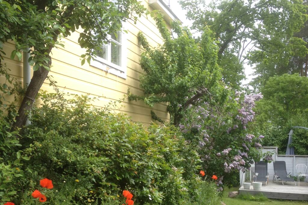 Green garden