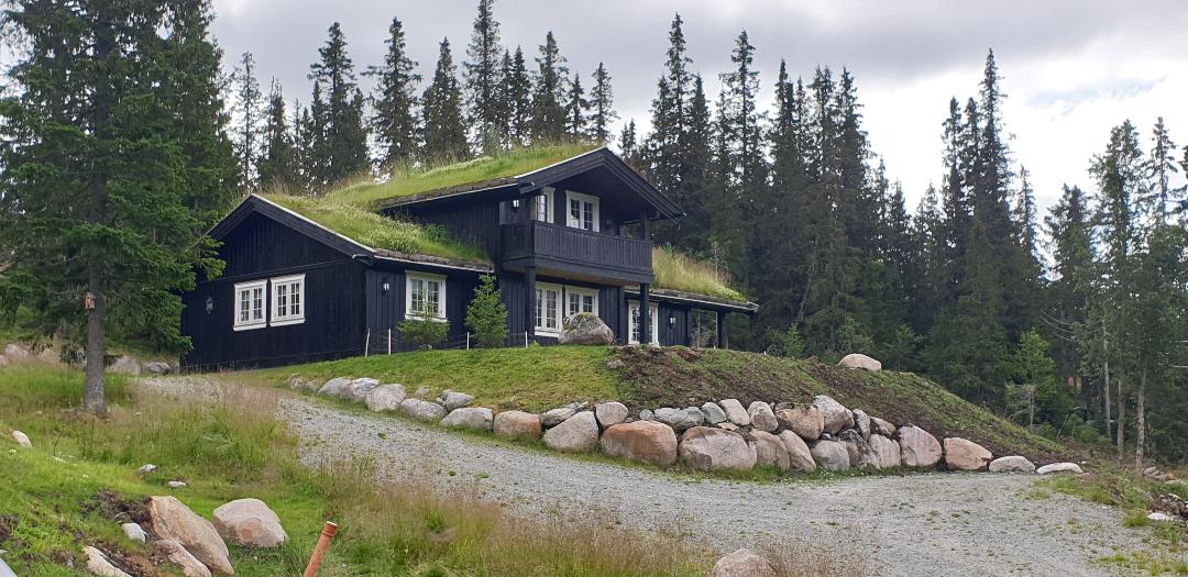 The exterior of a two-story cabin is presented, showcasing a gently sloping green roof and dark wooden siding. Surrounded by natural landscape, the structure is framed by tall trees and strategically placed boulders along a gravel pathway leading to the entrance.