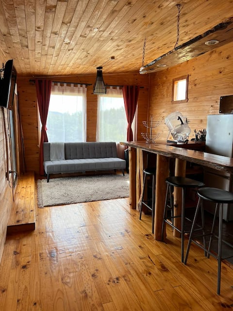 Successful Airbnb property: El Arrayán Chiloé Cabin in Ancud