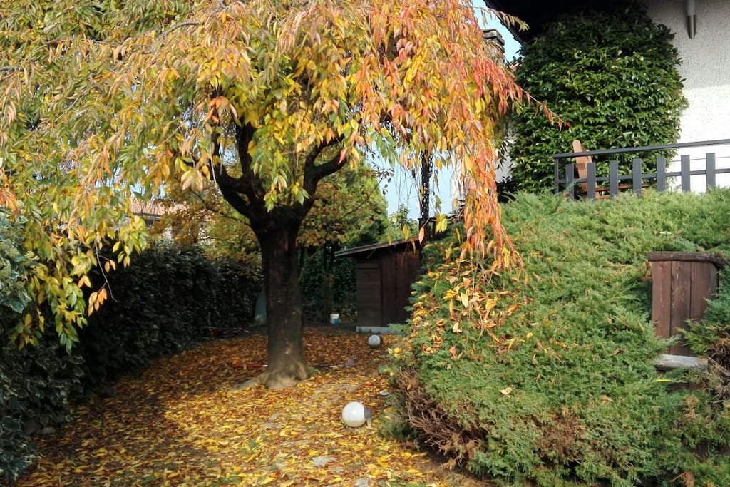 Giardino (lato sinistro)