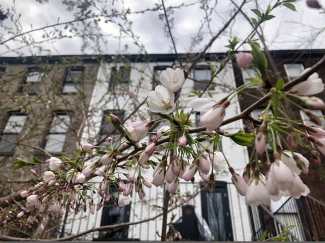 3 Bedroom 2.5 bath 3 floor Hosted Apartment gallery image 3