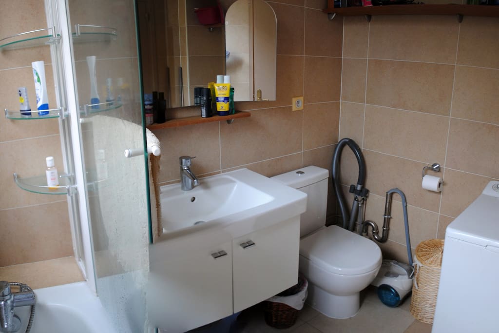 Big bathroom with bath, toilet and washing machine