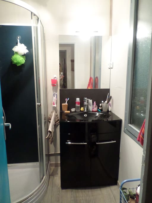 La petite salle de bain avec lavabo et cabine de douche...