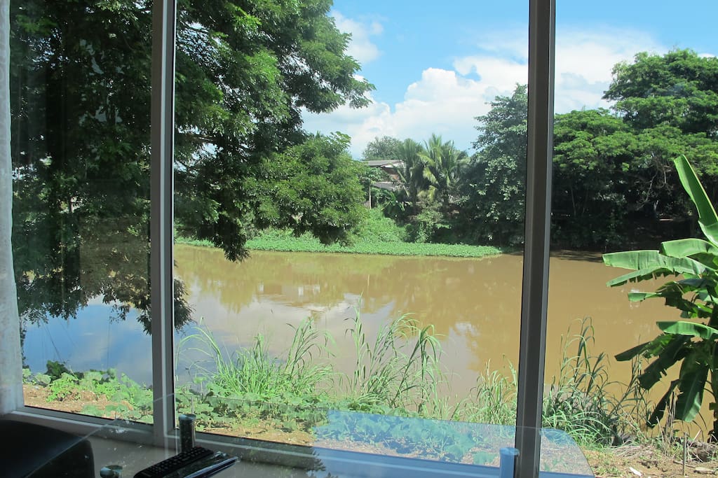 View from the living room