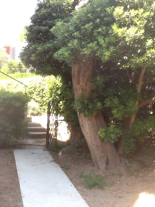 Jardin avec chemin menant à l'appartement
