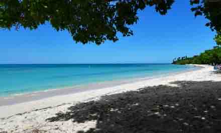 A serene beach scene features soft white sand stretching along clear turquoise waters. Gentle waves lap at the shore, while lush greenery frames the area. Sunlight bathes the landscape, highlighting the tranquil atmosphere ideal for relaxation.