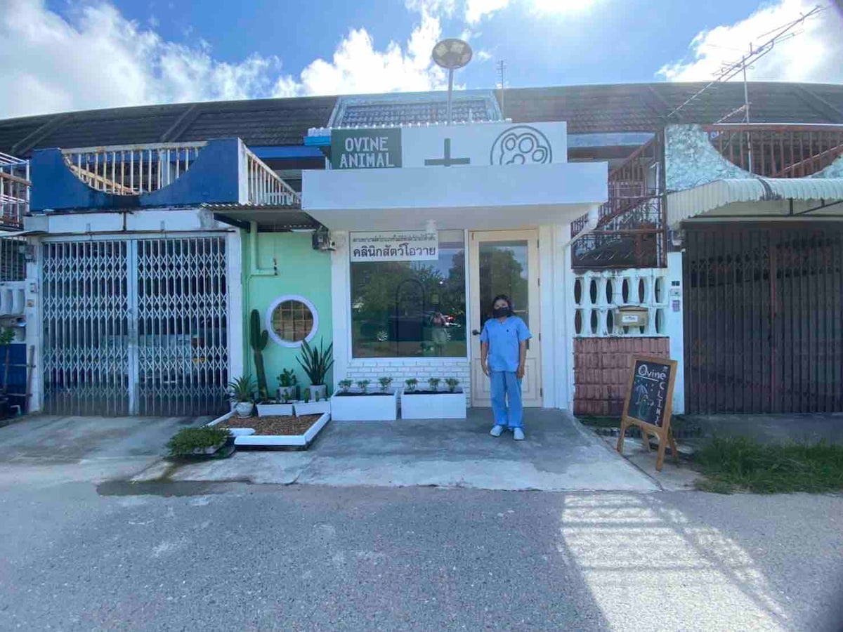 An animal clinic is shown from the front, featuring a clean white facade with a small sign. Potted plants are arranged in front, complementing the minimalistic design. A person in medical attire stands in the entrance, contributing to the friendly and welcoming atmosphere.