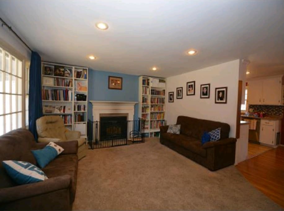 Living room and fireplace