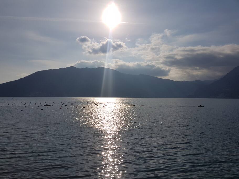 view