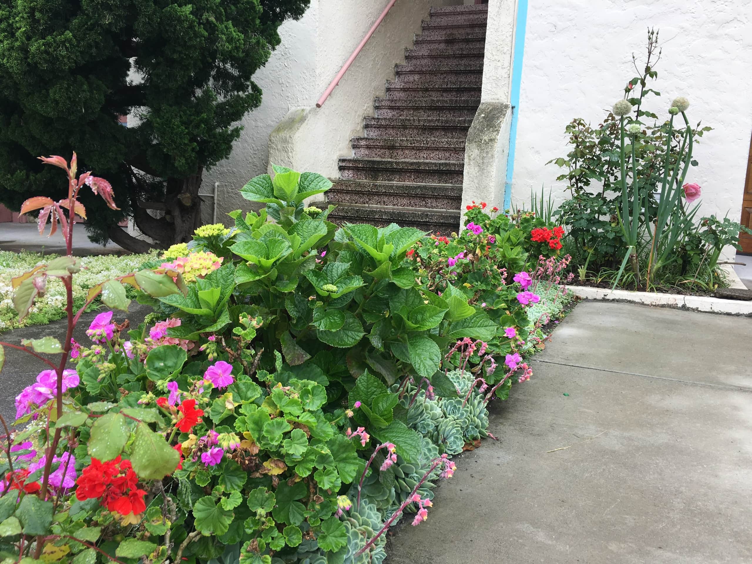Home in San Francisco · ★4.86 · 1 bedroom · 1 bed · 1 bath - Image 26