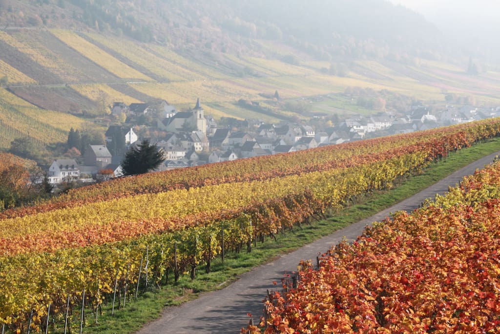 Herbstimpression