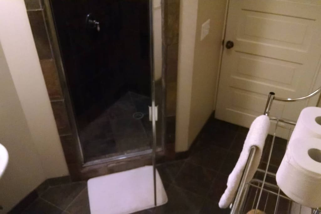 Shared bathroom with walk-in shower. Basic toiletries and hair dryer provided.