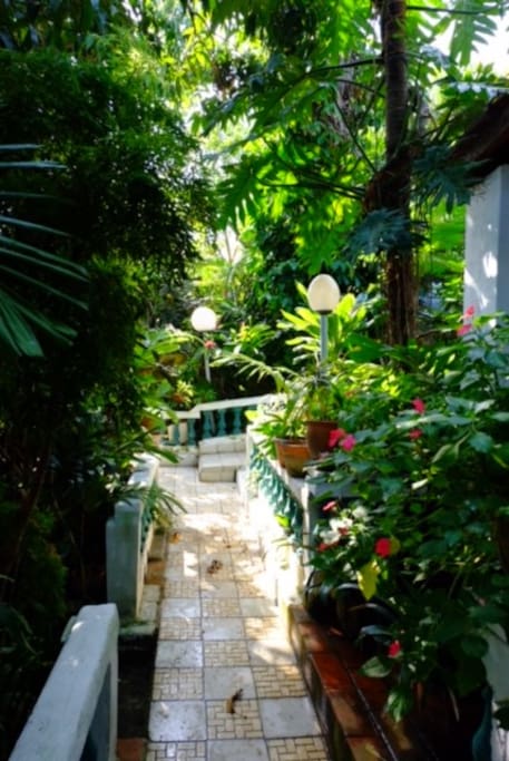 Breathtaking variety of native plants.
