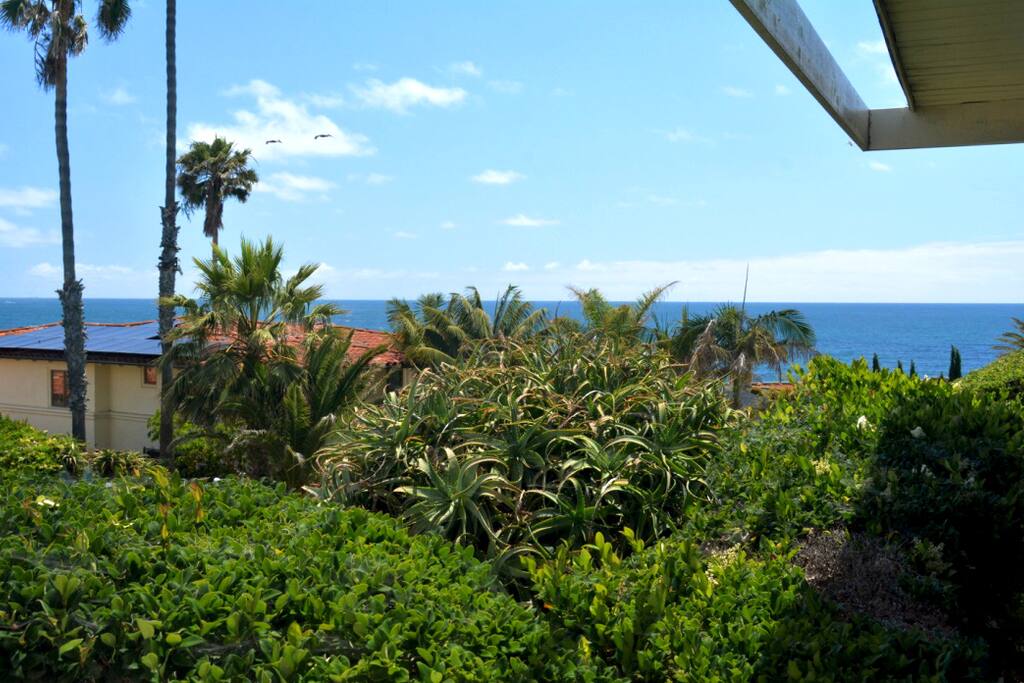 Feel the ocean breeze.