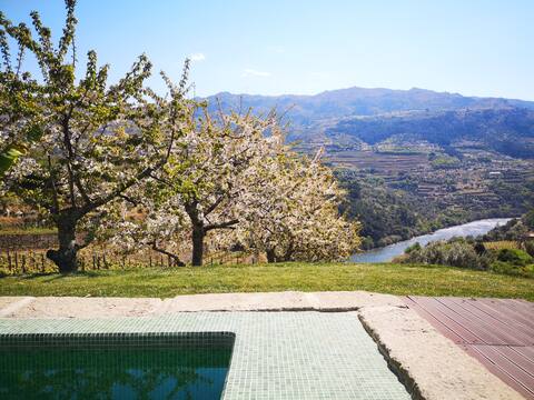 Quinta Barqueiros D`Ouro - Casa do Baco