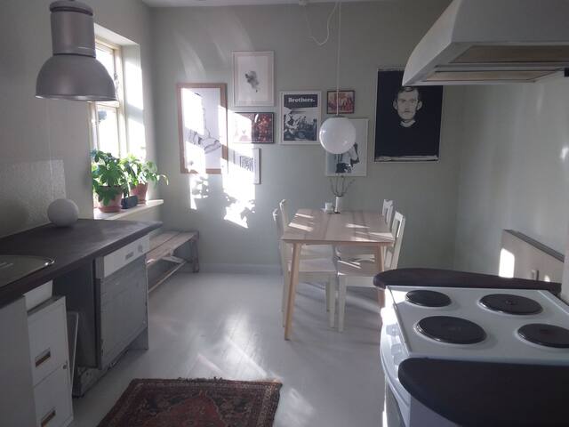 Airbnb Odense Vacation Rentals Places To Stay Denmark