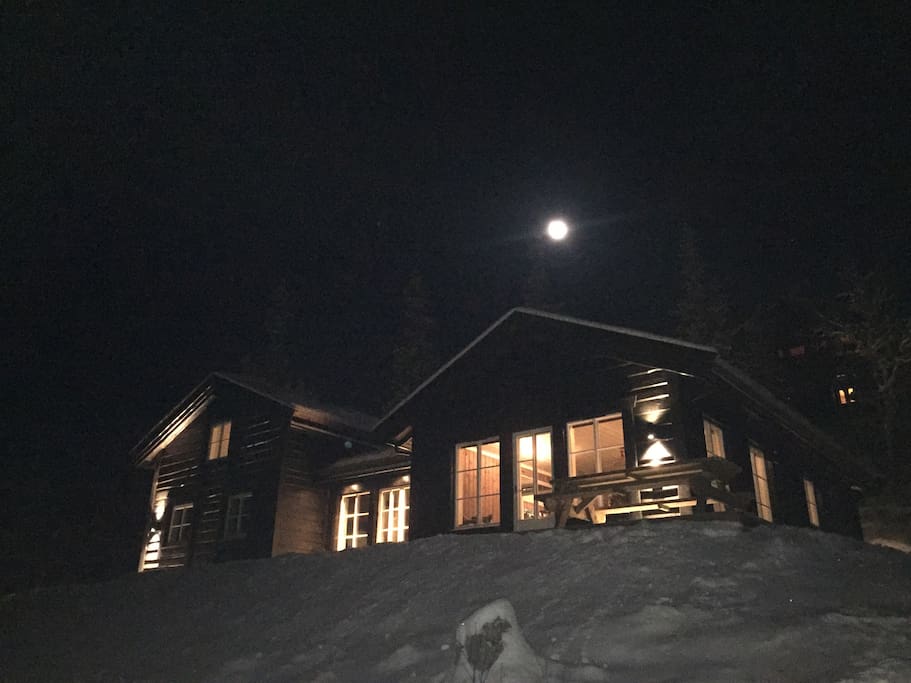 Nighttime view in winter