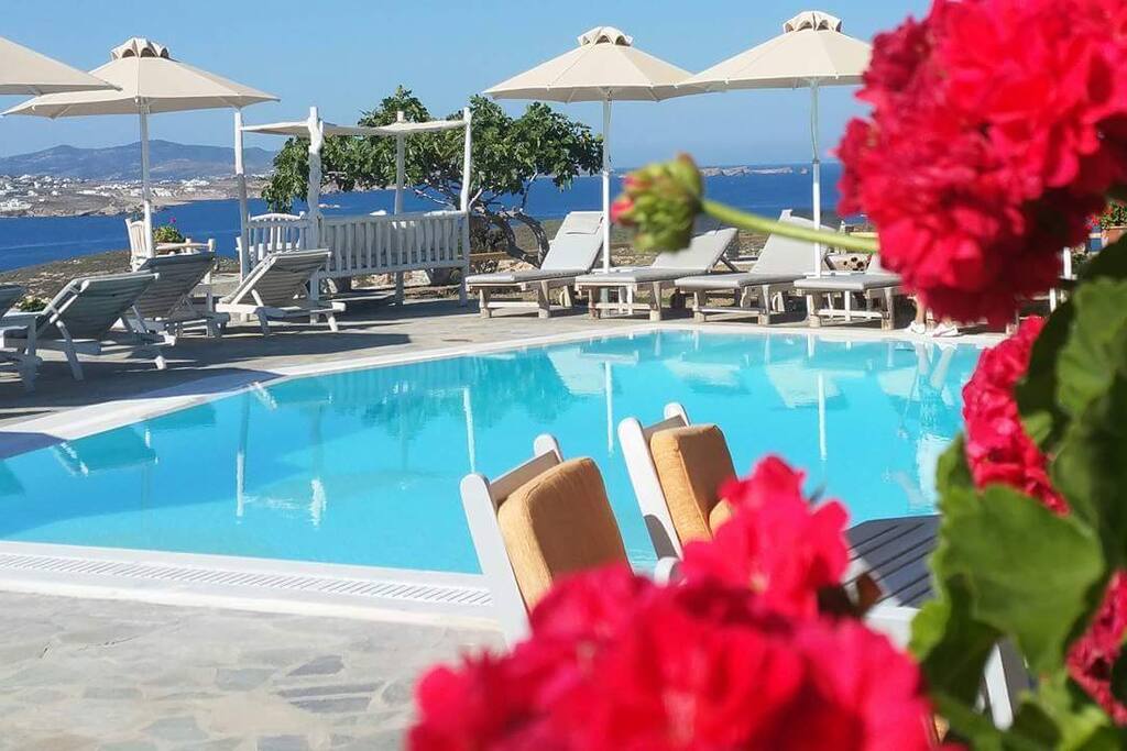 pool and view
