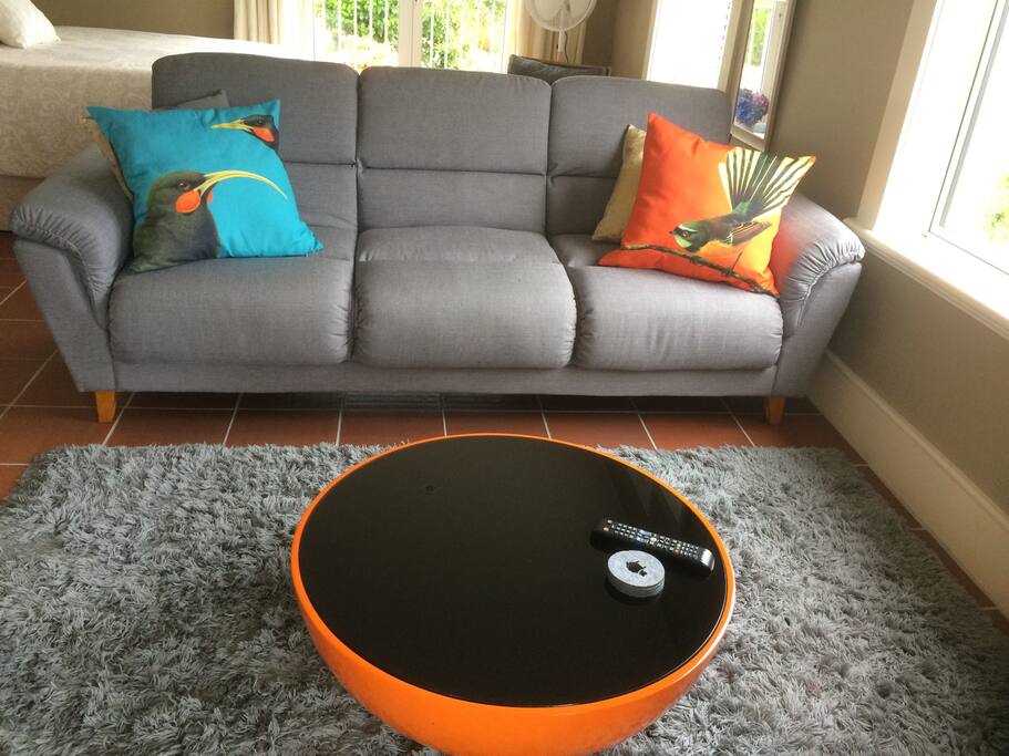 Fold down sofa bed