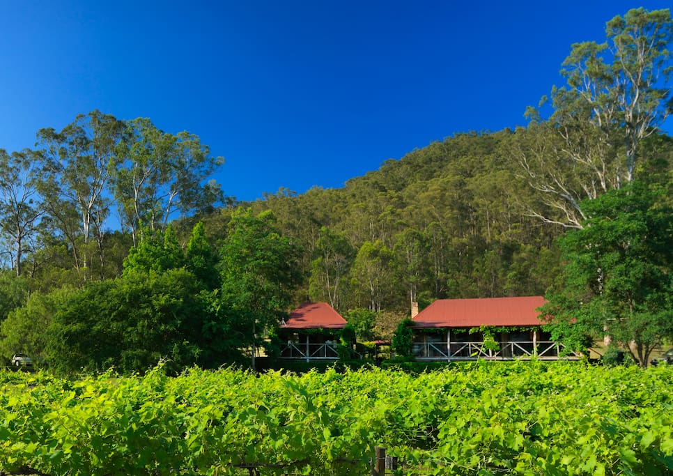 Gatekeeper's Cottage is set on the edge of our Shiraz vineyard with views across the valley.