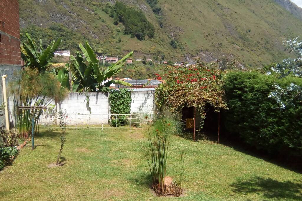 Patio trasero de la casa