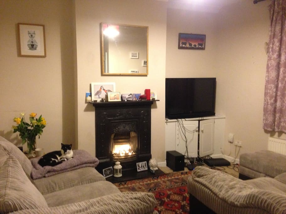 Living Room. Comes with 42inch TV, virgin media fibre optic wifi and sports package