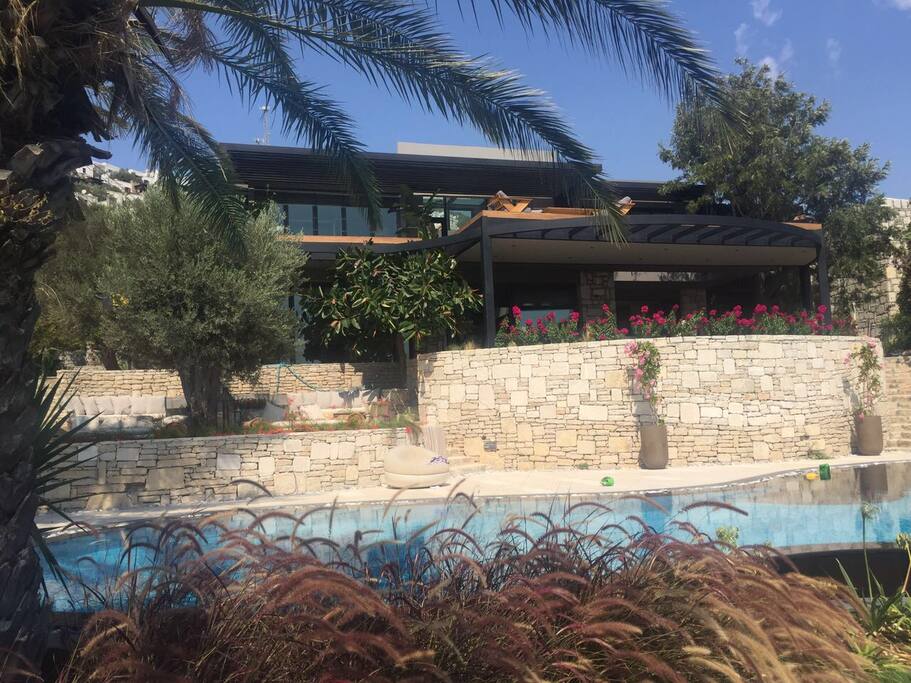 Scene with pool and house