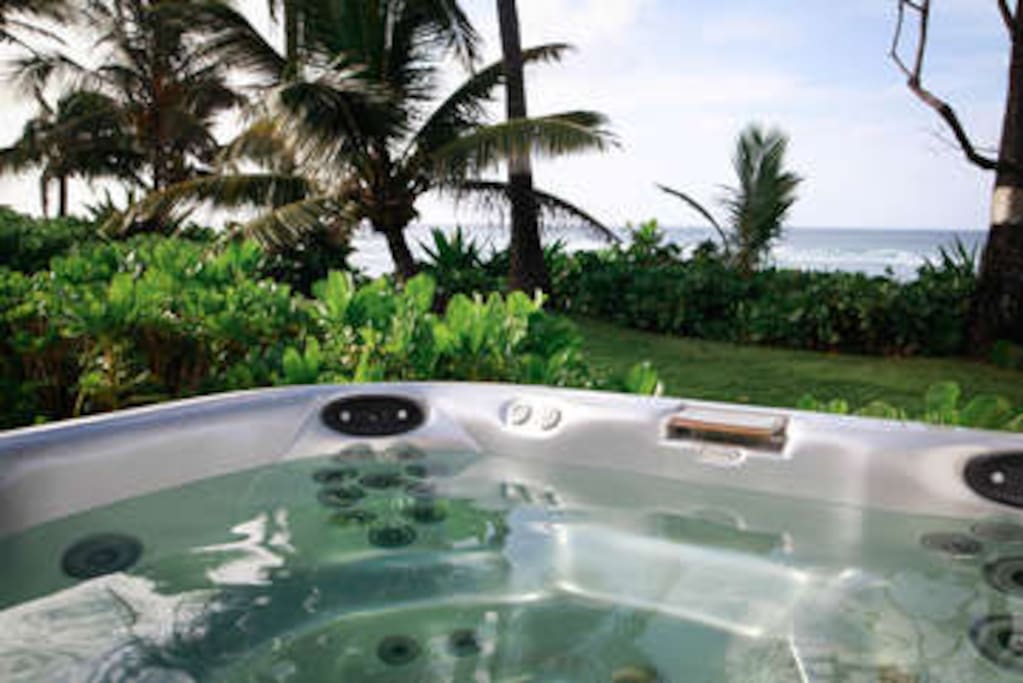 Spa overlooking the yard and ocean