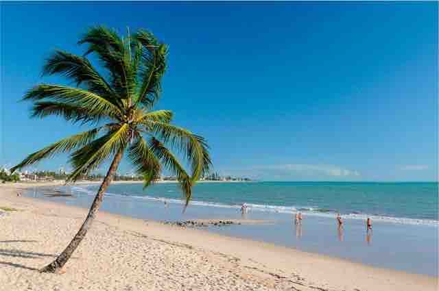 A sandy beach extends alongside calm turquoise waters, with a single palm tree leaning toward the sea. A few individuals are seen walking along the shoreline, enjoying a sunny day. The clear blue sky completes the serene coastal setting.