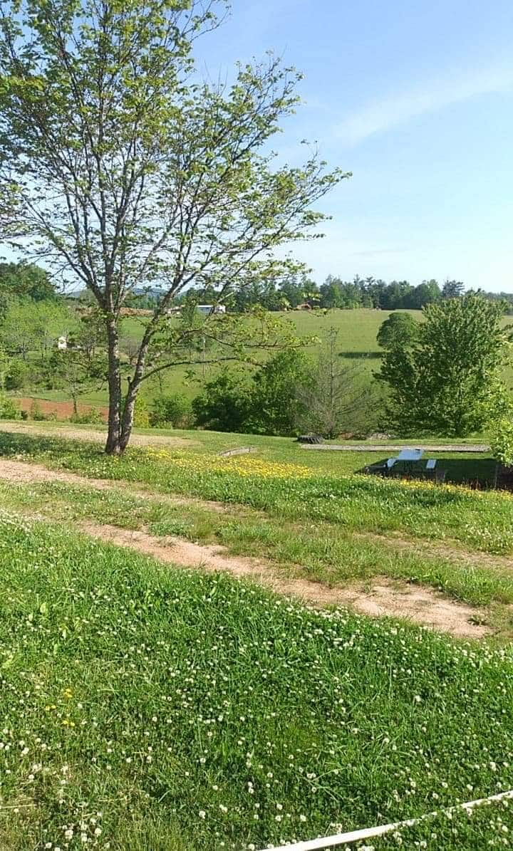 Country living at Chewey Farm Campers/RVs for Rent in Marshall, North Carolina, United States